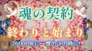 151eriko耳olacle🩷 「魂の契約・終わりと始まり」🌟羽ばたく新たな人生へGO👼🌈👍癒しと希望🪷オラクル🃏ルノルマン💐タロット🔮💖💛🧡💚💕 [upl. by Trula]