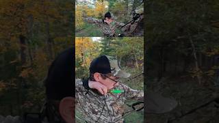 RATTLED In A Doe saddlehunting bowhunting singlebevel lawsonhuntsswva vantagepointarchery [upl. by Bret]