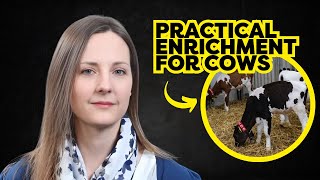 Dr Rebecca Meagher Improving Dairy Cattle Welfare [upl. by Mukund]