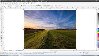 How to Crop Image in CorelDraw [upl. by Fenner921]