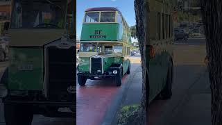 Historic Sydney Double Decker Bus 1948 Albion Venturer CX19W bus historicbus busspotting shorts [upl. by Yessak]