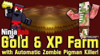 Huge Gold amp XP Farm  Nether Roof wAuto Zombie Pigmen Killer PS4PS3Xbox Console [upl. by Enetsirhc605]