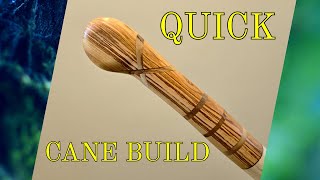 WALKING STICK IDEA A QUICK CANE BUILD [upl. by Nauqe]