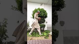 Ficus plant 🪴 step cutting [upl. by Noreh]