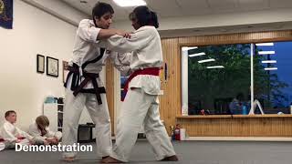 Pyung Ahn Ee Dan Pinan ShodanHeian Nidan Opening Applications Bunkai [upl. by Garey304]