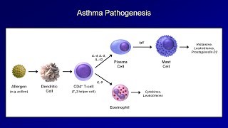 Asthma and COPD  Pathogenesis and Pathophysiology [upl. by Nemad]