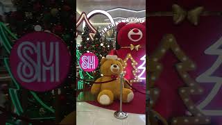 Big bear in the mall [upl. by Eilahtan]