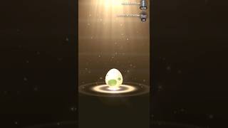 Ive opened 5 eggs in a row pokemon pokemongo lechonk quaxly pokemonegg mantyke [upl. by Abbott]