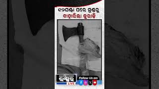 ୧୨ ଘଣ୍ଟା ପରେ ମୁଣ୍ଡରୁ ବାହାରିଲା କୁରାଢ଼ୀ shortsvideo odishabhaskar odisha [upl. by Neram]