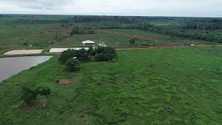 Fazenda com confinamento a venda de 218 há em Ariquemes  Rondônia [upl. by Naiviv]