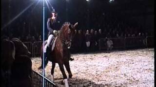 1 Leader Of World Ranking Dressage  GP KWPN stallion Jazz sCocktail [upl. by Ferdy]