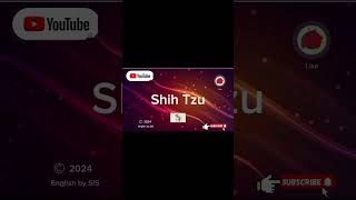 How to Pronounce Shih Tzu Dog Breed Correctly english pronunciationguide quiz learning [upl. by Araf]