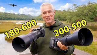 Nikon 180600 Review The ULTIMATE Wildlife Zoom [upl. by Aihseuqram]