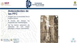 Clase 1 Plantaciones Forestales [upl. by Ynohtna]