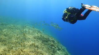 Scuba Diving in the Maltese Island of Gozo 2024 [upl. by Marten520]