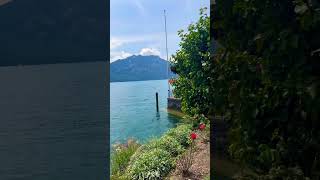 Beautiful Weggis Switzerland 🇨🇭 shorts travel beautiful switzerland shortvideo [upl. by Mcferren]