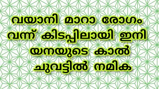 ദേവയാനി മാറാ രോഗം വന്ന് കിടപ്പിലായി ഇനി നയനയുടെ കാൽ ചുവട്ടിൽ അനാമികpatharamattu serial [upl. by Animsay]