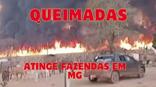 Queimadas zona rural de Uberlândia destroi a fauna e a flora canalchegaozoom [upl. by Mateo741]