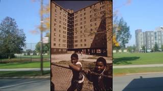 State Street In Chicago Sites of Demolished Robert Taylors Ickes and Stateway Gardens 2018 [upl. by Oterol500]