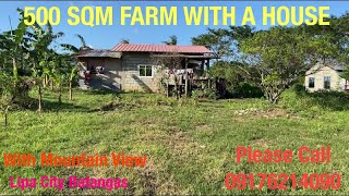 Vlog414 500 SQM FARM LOT WITH A HOUSE WITH MOUNTAIN VIEW FOR SALE IN LIPA CITY BATANGAS [upl. by Eilatam]