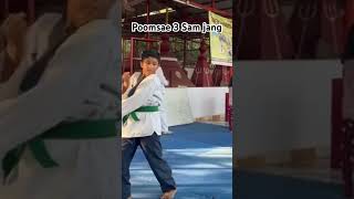 Green 1 Poomsae [upl. by Adnowal]