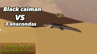 Black caiman vs 3 anacondas amazon ascension [upl. by Llewkcor374]