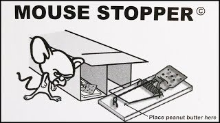 The Mouse Stopper Mouse Trapping System Mousetrap Monday [upl. by Vasiliu]