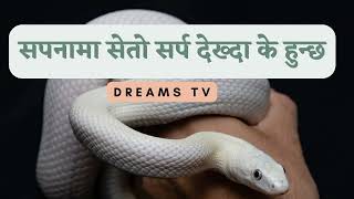 सपनामा सेतो सर्प देख्दा के हुन्छ।Nepali sapana ko fal white snake dreams [upl. by Sobel]