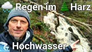 Hochwasser im Norden 🌧 Regen im 🌲 Harz  Die Pegelstände der Harzer Flüsse steigen  Okertalsperre [upl. by Akienom]