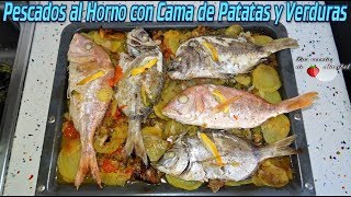 Pescados al Horno en Cama de Patatas y Verduras [upl. by Eak]