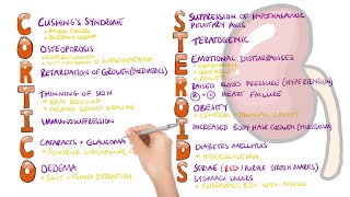 Corticosteroid Side Effects Mnemonic  What are the side effects of corticosteroids [upl. by Reinald845]