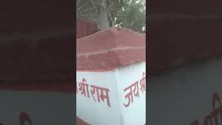 Savere Savere darvaje per yah kam Karen Mahalaxmi Dori chalayenge short video [upl. by Yhtommit7]