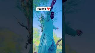 janan janan pashto song ❤️ [upl. by Epoh]