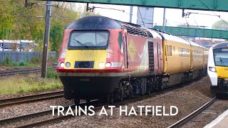 Trains at Hatfield Station  281024 [upl. by Tdnarb]