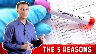 5 Reasons for High Creatinine on Keto Ketogenic Diet – DrBerg [upl. by Annwahs961]