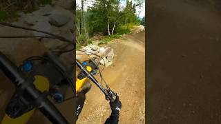 Best section in hemsedal bike park 🤙🏼😎 mtb mountainbiking hemsedal shorts hemsedalbikepark [upl. by Arraeic243]