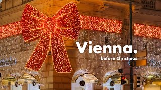 Vienna vlog  a cozy November day before the Christmas Markets [upl. by Adelaida]