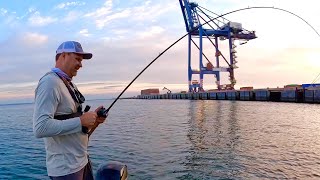 Brisbane River to Moreton IslandEpic Fishing [upl. by Eak]