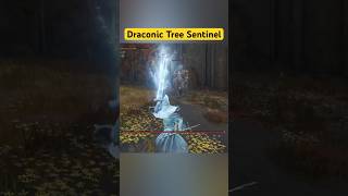 Mage vs Draconic Tree Sentinel shorts eldenring [upl. by Aileno537]