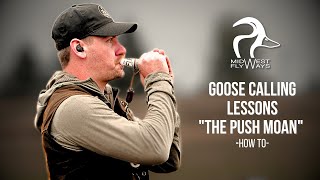 BEST goose calling tips for beginners 2 [upl. by Am]