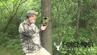 How high should you set your trail camera  Trail Camera Tips [upl. by Lisa]