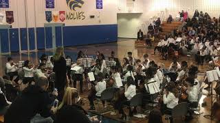 7th grade orchestrageisler middle school 2020 [upl. by Aidnyl]