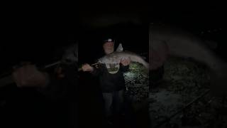 MR JOHN PARKERREELTIME CATFISHING GO GET HOOKED UP TODAY fishing subscribe youtubeshorts shorts [upl. by Kieryt775]