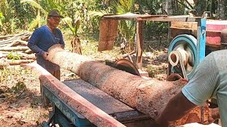 penggergajian kayu wadang dengan mudah pakai gergaji mesin serkel rakitan [upl. by Erbma567]