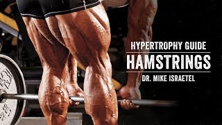 Hypertrophy Guide  Hamstrings  JTSstrengthcom [upl. by Child776]