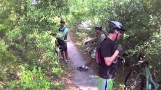 Halpatiokee MTB Trail FULL [upl. by Esilahc]