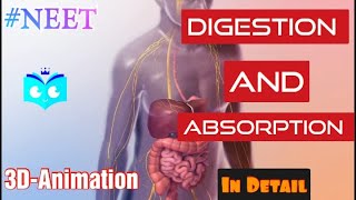 Digestion and Absorption part 1  Biology Endgame  class 11 NEET 2023 amp 2024  Study animated [upl. by Anneirb695]