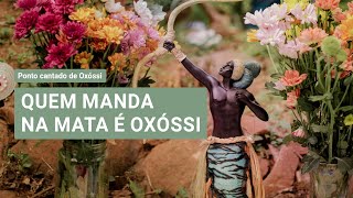 Quem manda na mata é Oxóssi com letra  Ponto cantado de Oxóssi [upl. by Nanny]