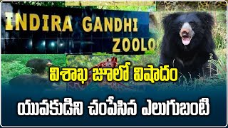 A Wild Bear In Vizag Zoo Attacked amp Killed Zoo Worker  Samayam Telugu [upl. by Llednav114]