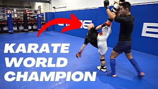 Pro MMA Fighter vs Karate World Champion Breakdown [upl. by Nacim]